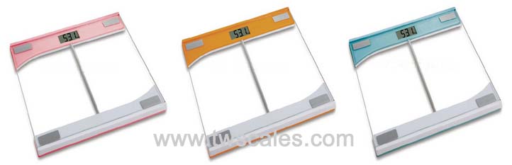 Electronic Personal Scale