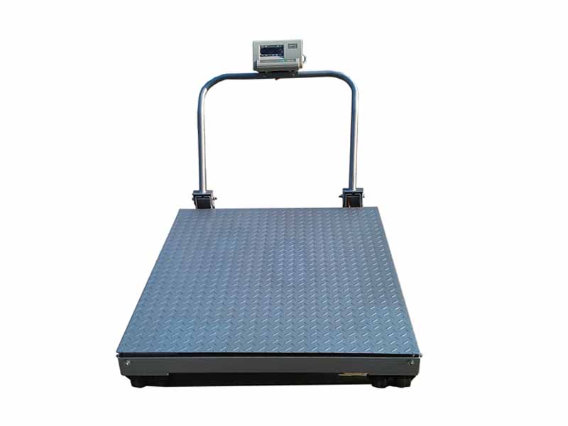 TWS-Mb Floor Scale