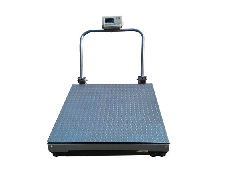 TWS-Mb Floor Scale